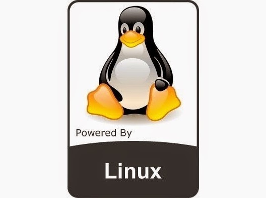 2019 年 5 大事件表明 Linux 与开源的统治地位