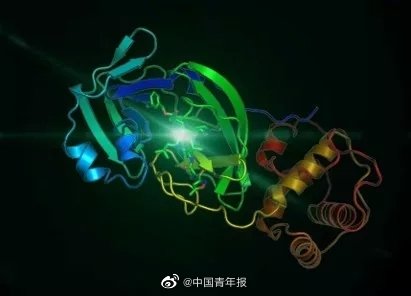 科学家公布新型冠状病毒3CL水解酶高分辨率晶体结构