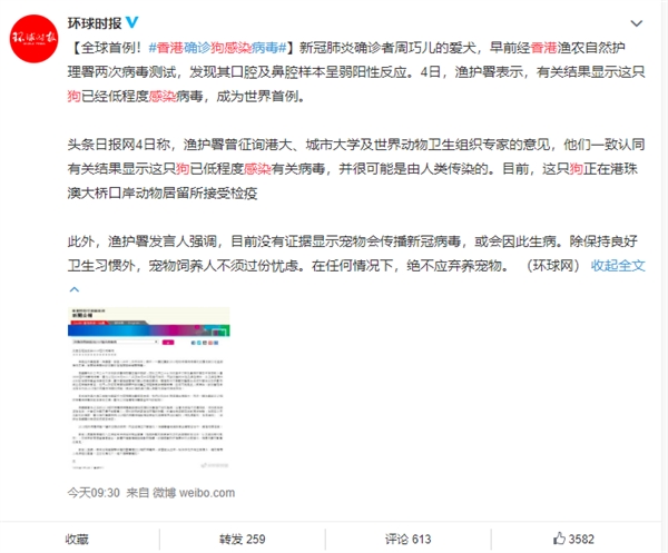 世界首例狗低程度感染新冠病毒 专家：抽血检测到抗体才能确定