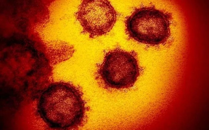 世卫：全球新冠肺炎病例接近10万例 无证据显示病毒会在夏季消失