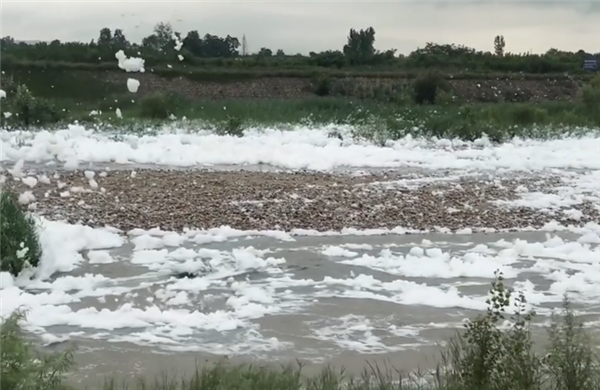 六月飞雪？陕西一河道被白色泡沫覆盖 原来是洗衣液原液流入河中
