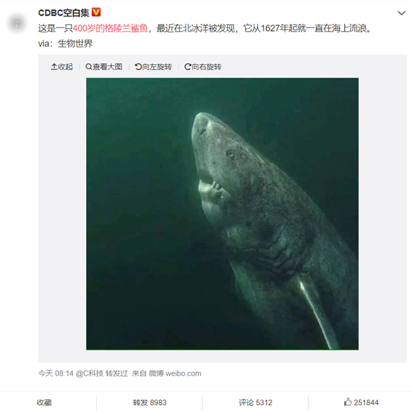 400岁的格陵兰鲨鱼火了：出生于中国明朝
