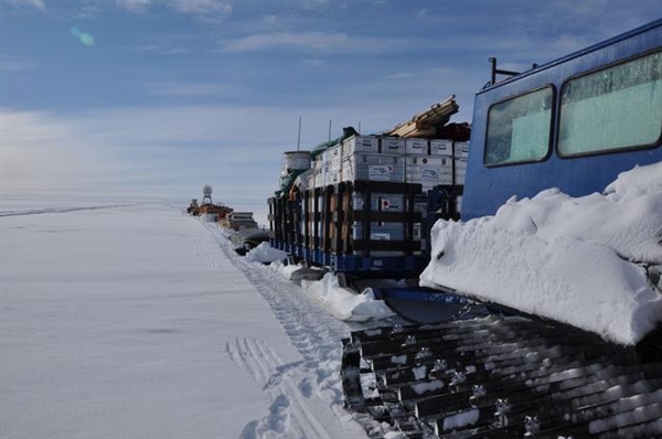 科学家在南极冰层下意外发现奇怪生物