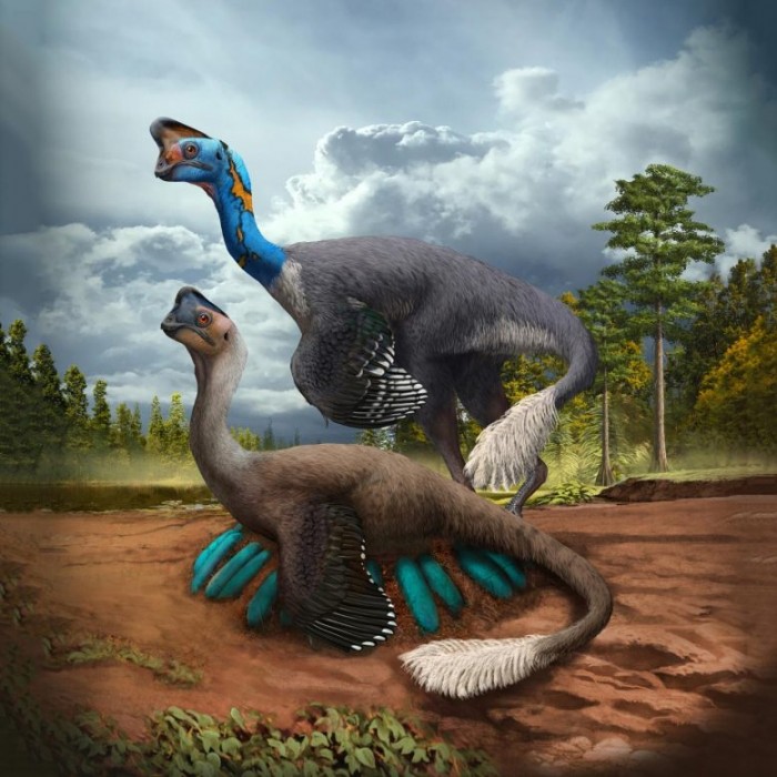 Oviraptorid-Theropod-Dinosaurs-777x777.jpg