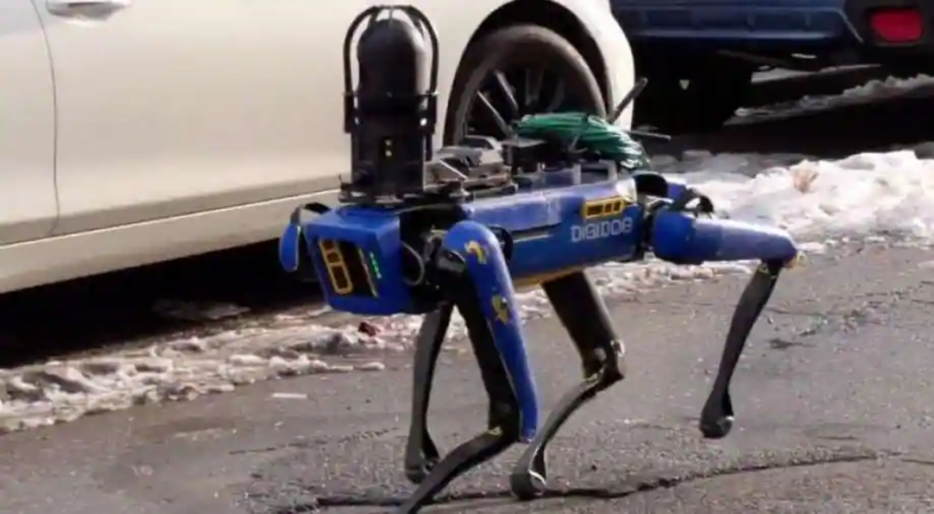 纽约一议员提新法案：将禁止警察使用武装化机器人