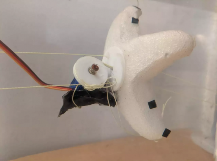 MIT科学家设计的新系统可以在几小时内创造出海星机器人