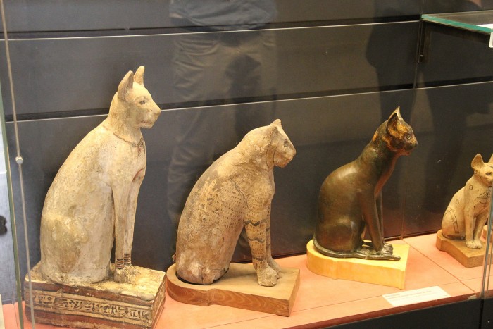 古埃及人为什么对猫如此着迷？