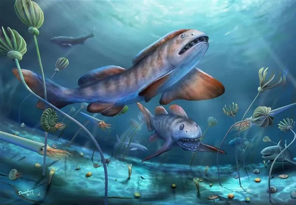 2.9亿年！中国第一次发现3-5米的史前巨鲨