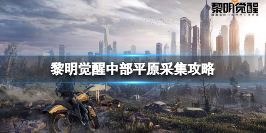 黎明觉醒采集物资（黎明觉醒中部平原采集攻略）
