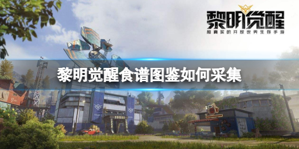 黎明觉醒分发食物（黎明觉醒食谱图鉴如何采集）