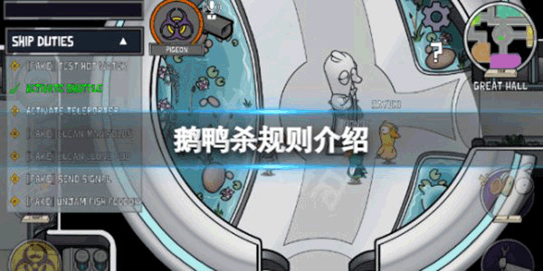 鹅鸭杀规则玩法一览（鹅鸭杀规则）