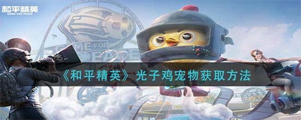 和平精英光子鸡具体位置（和平精英光子鸡宠物获取方法）