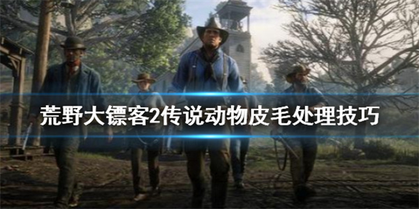 荒野大镖客2传说动物皮怎么处（荒野大镖客2传说动物皮毛处理技巧）