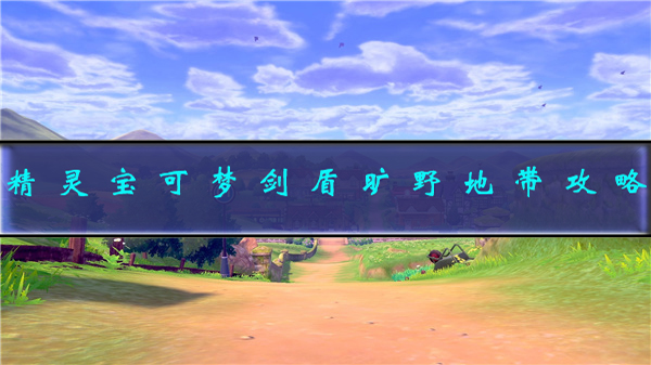 《宝可梦剑盾》旷野地带攻略（精灵宝可梦剑盾旷野地带攻略）