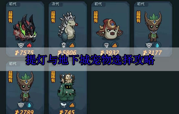 提灯与地下城宠物顺序（提灯与地下城宠物选择攻略）