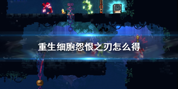 重生细胞诅咒之刃玩法（重生细胞怨恨之刃怎么得）