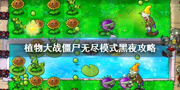 植物大战僵尸无尽模式黑夜攻略（满满干货）