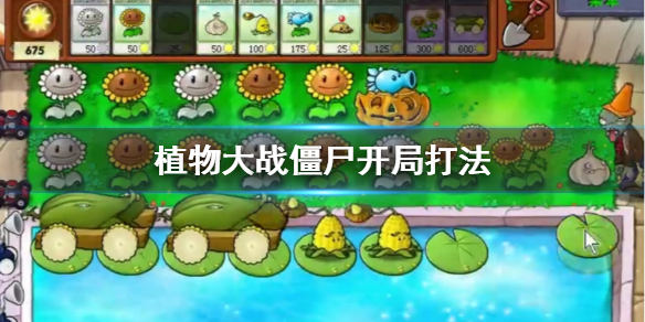 植物大战僵尸开局打法（墙裂推荐）