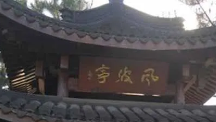 岳飞既然已经被皇帝害死，那么金国为什么不趁机灭掉宋朝？（学会了吗）