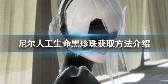 尼尔人工生命黑珍珠获取方法介绍（一看就会）