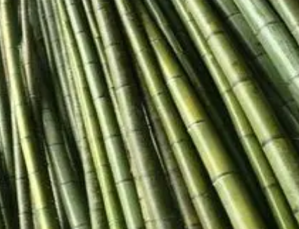 古代敲竹杠说法流传那么广 这个说法是怎么出现的（居然可以这样）