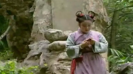 傻大姐这个知本分的丫头，如何成为王夫人的神助攻？（干货满满）