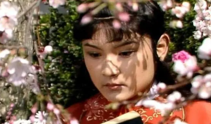 贾宝玉和二十四两银子的故事中，谁是必不可少的主角？（万万没想到）