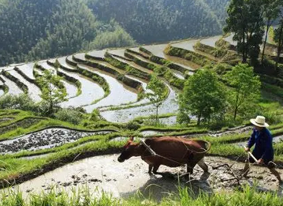 古代王朝为什么都被农民推翻 古人种地真的不赚钱吗（这都可以？）