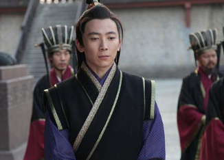 秦国的公子华功绩如何?有没有白起厉害？（真没想到）