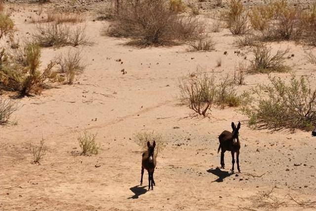 世界上最“隐蔽”的村庄，白天出现晚上“消失”，专家都无法解释