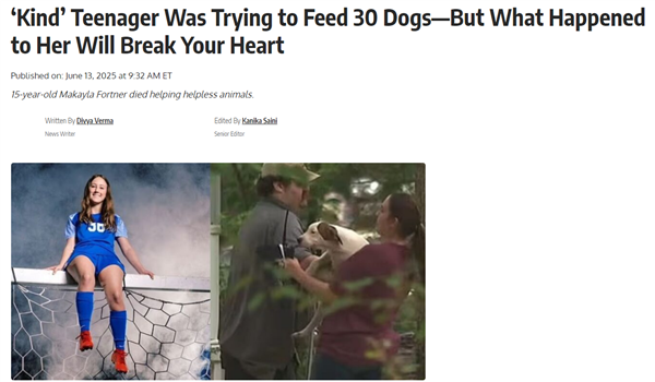 美国女孩喂流浪犬遭40只狗围咬致死:14只被实施安乐死