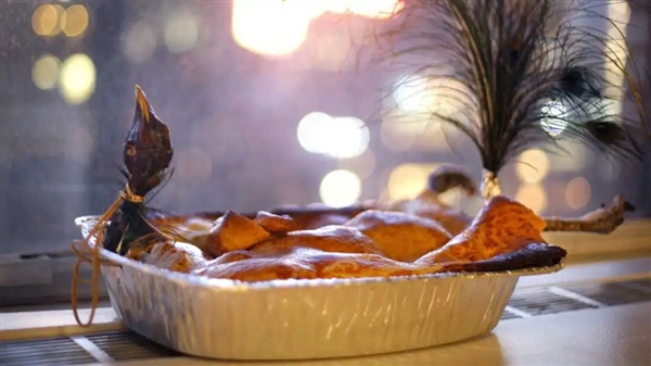 国外孔雀免费吃 新西兰农场来了一群孔雀 中国网红受邀前去狩猎