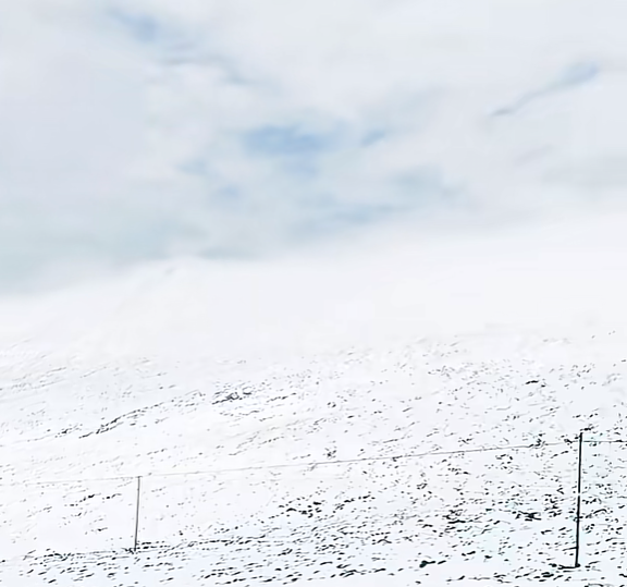 青海祁连七月飞雪 当地气象局回应：概率非常低