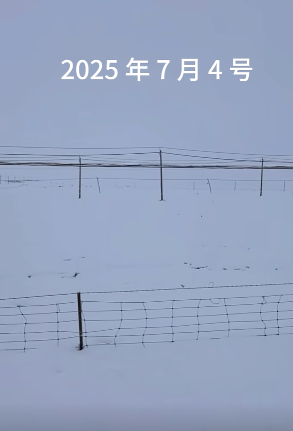 青海祁连七月飞雪 当地气象局回应：概率非常低