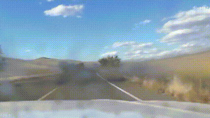 你的车可能真会被防虫网闷死!