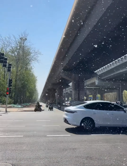 你的车可能真会被防虫网闷死!