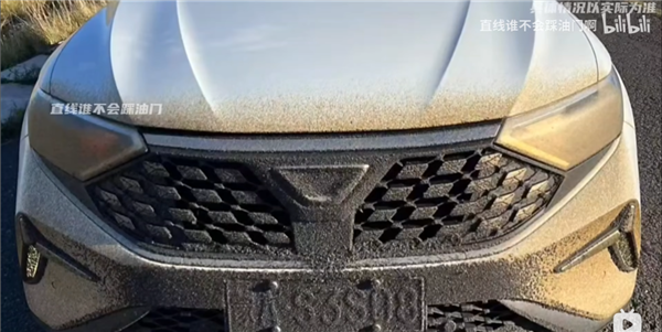 你的车可能真会被防虫网闷死!