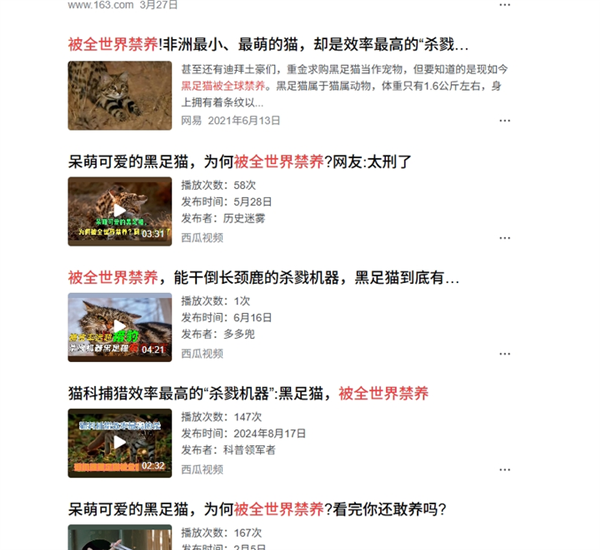 这是已知最致命的猫科动物!一年猎杀3000只啮齿动物