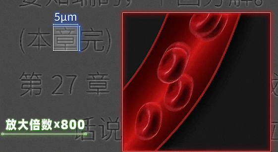 男子把80万字《红楼梦》刻在硅片上 留给一万年后的人们