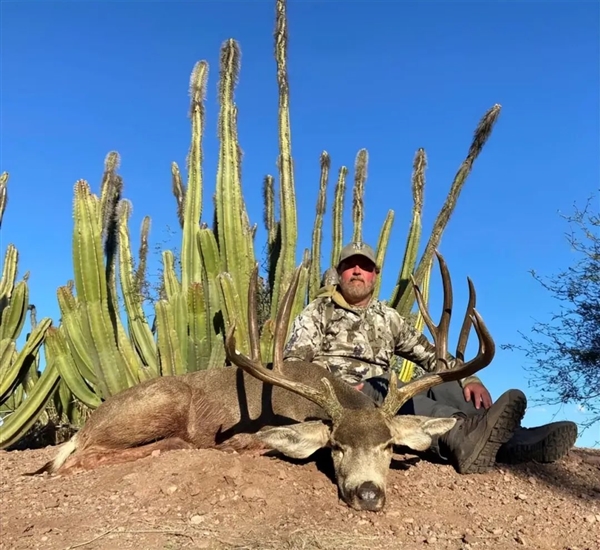三人围猎一头非洲野牛 结果被反杀！美国富豪殒命当场