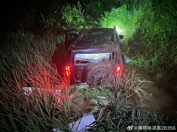 男子和女友开哈弗猛龙滚落80米悬崖 二人仅手臂轻微擦伤!长城魏建军:万幸人没事