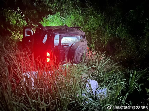 男子和女友开哈弗猛龙滚落80米悬崖 二人仅手臂轻微擦伤!长城魏建军:万幸人没事