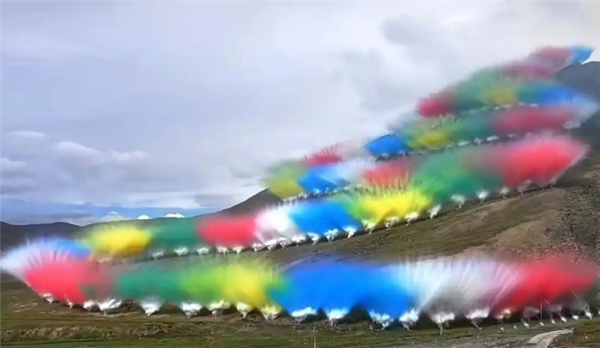 专家称烟花秀可能影响鼠兔:破坏整个食物链