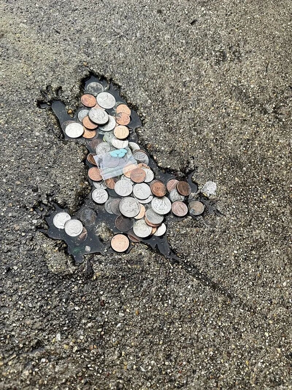 水泥地惊现“老鼠坑” 美国这条路火了!新研究带来反转:坑是松鼠砸的