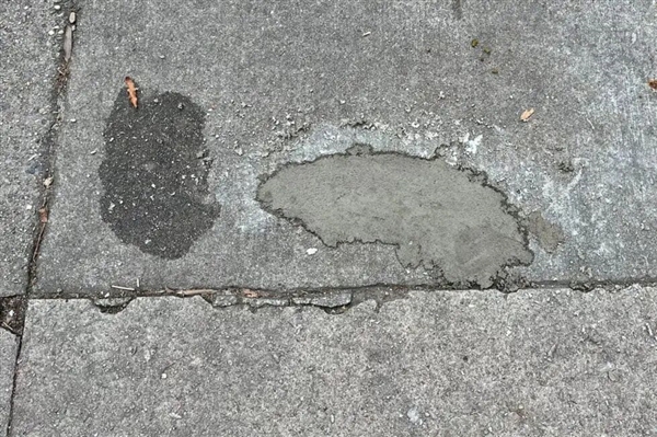 水泥地惊现“老鼠坑” 美国这条路火了!新研究带来反转:坑是松鼠砸的