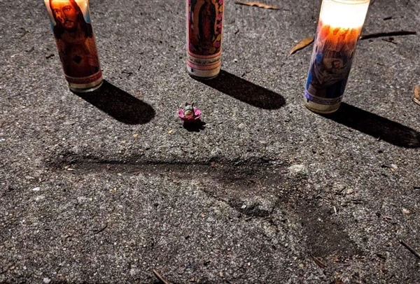 水泥地惊现“老鼠坑” 美国这条路火了!新研究带来反转:坑是松鼠砸的