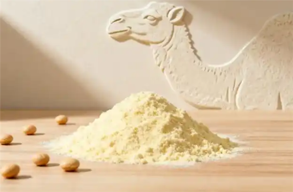 驼奶和牛奶哪个营养更高？驼奶真那么神吗 还是智商税