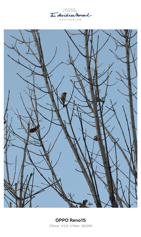 时尚、璀璨、闪耀！OPPO Reno 15评测：6.3英寸掌中影像旗舰！