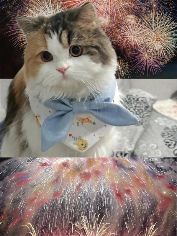 时尚、璀璨、闪耀！OPPO Reno 15评测：6.3英寸掌中影像旗舰！