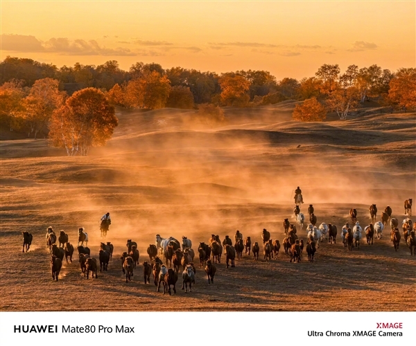 六大绝技升级巨大！华为Mate 80系列首发第二代红枫影像：实拍视频公布